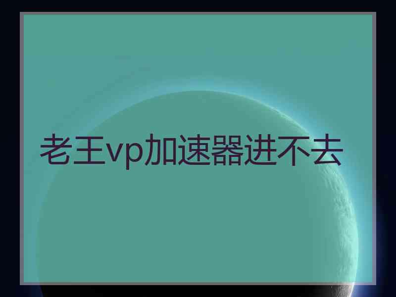 老王vp加速器进不去