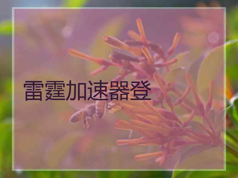 雷霆加速器登