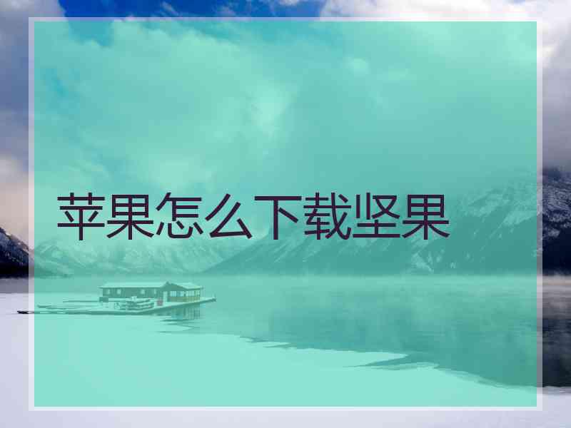 苹果怎么下载坚果