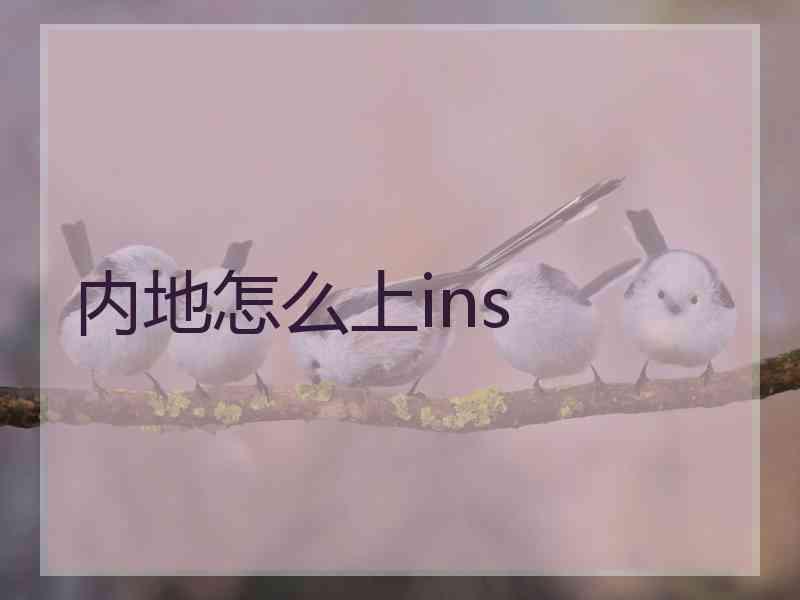 内地怎么上ins