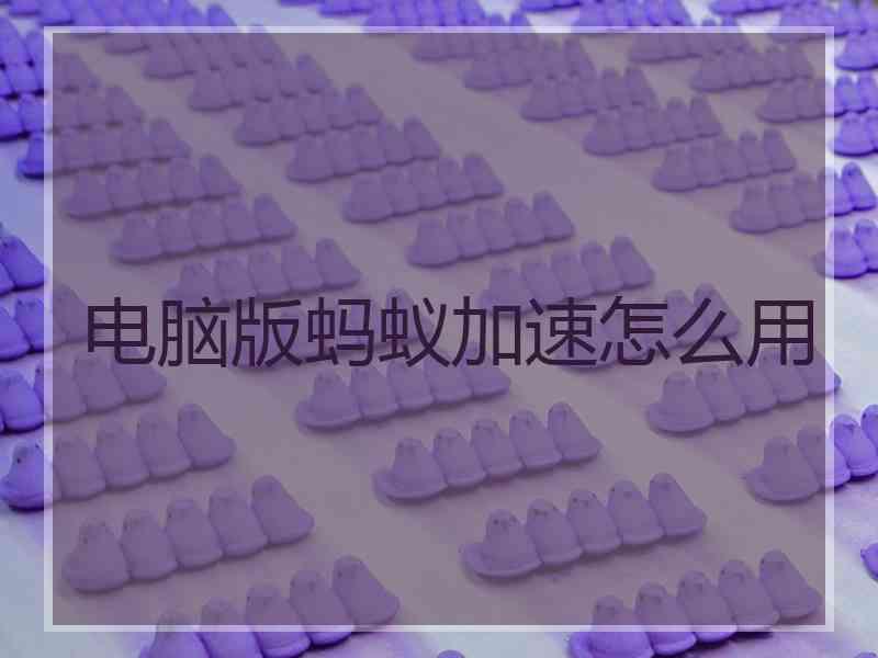 电脑版蚂蚁加速怎么用