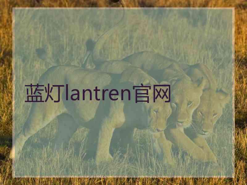 蓝灯lantren官网