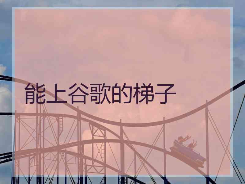 能上谷歌的梯子