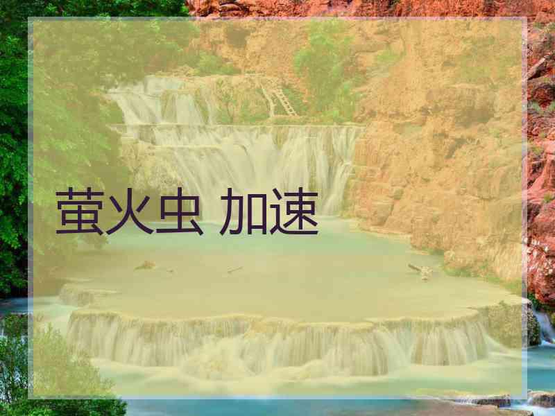 萤火虫 加速