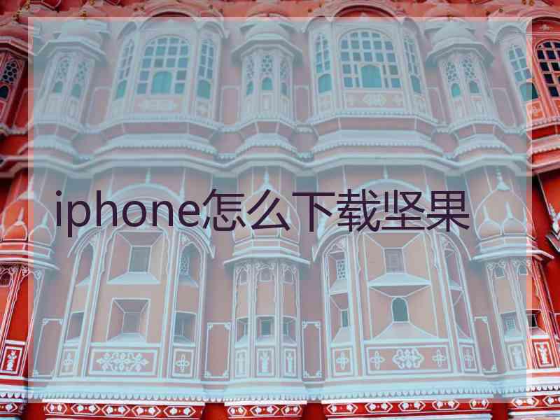 iphone怎么下载坚果