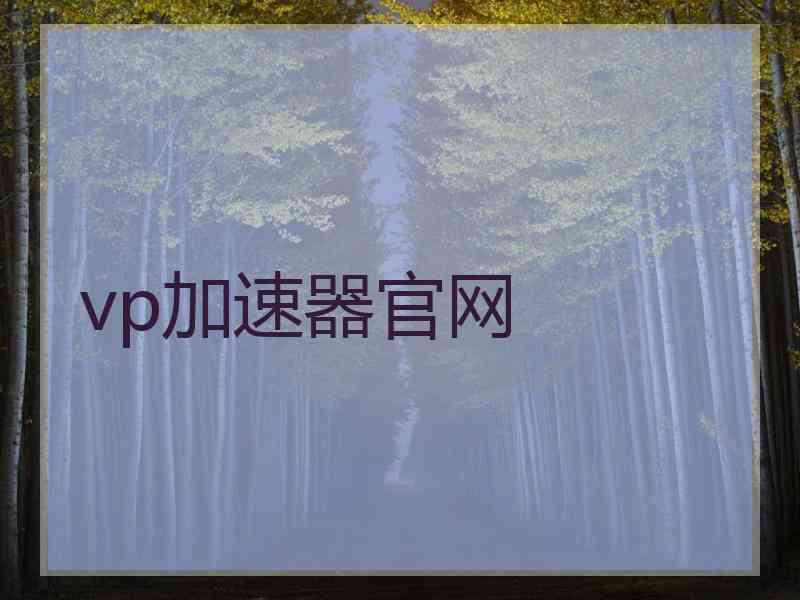 vp加速器官网