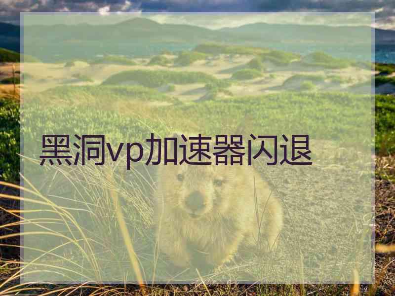 黑洞vp加速器闪退