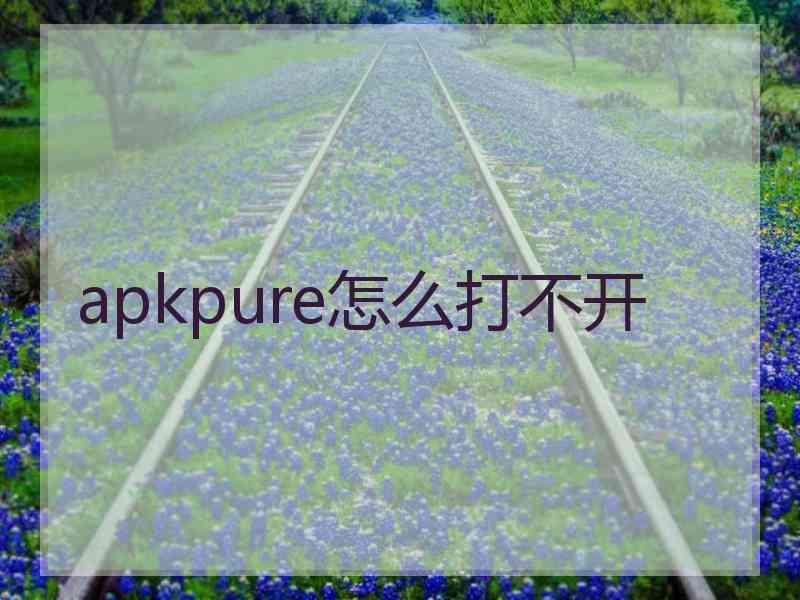 apkpure怎么打不开