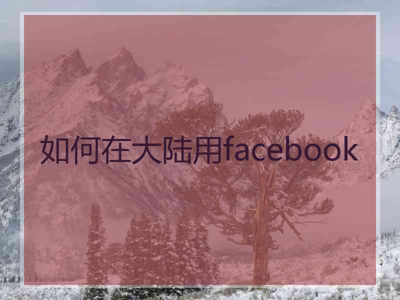 如何在大陆用facebook