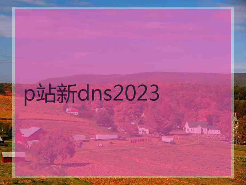 p站新dns2023