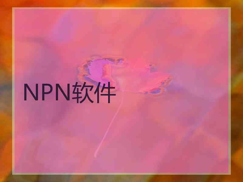 NPN软件