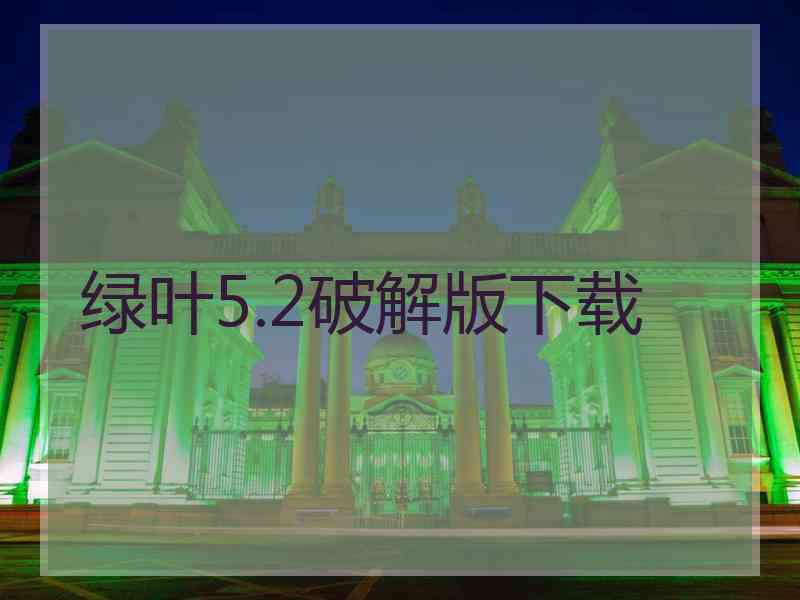 绿叶5.2破解版下载