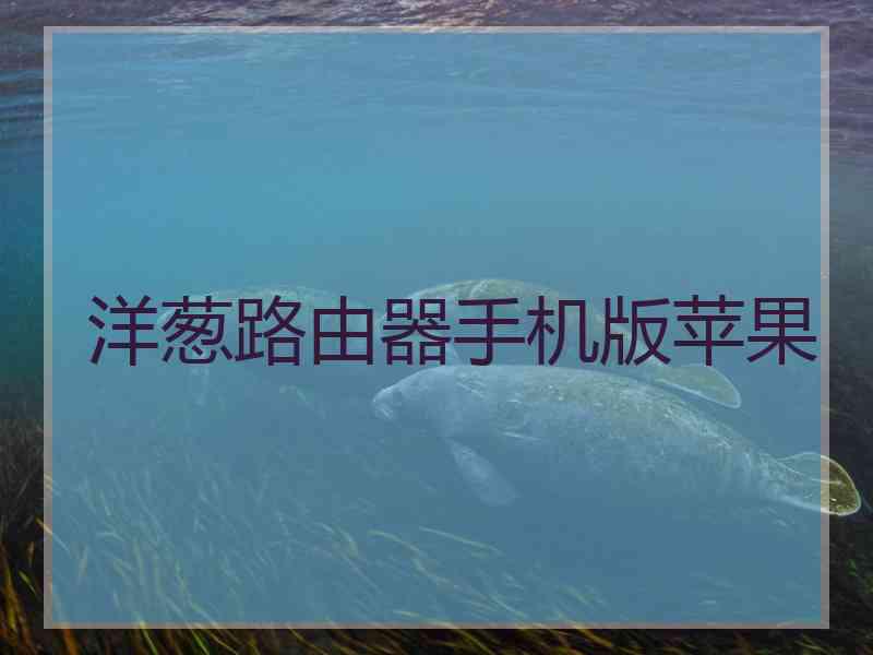 洋葱路由器手机版苹果