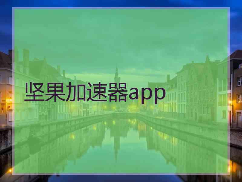 坚果加速器app