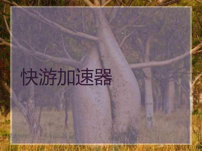 快游加速器