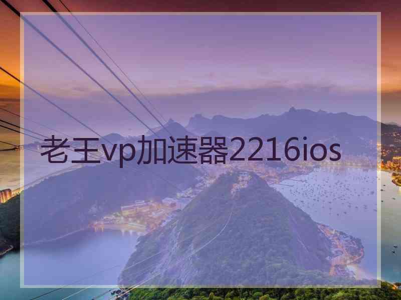 老王vp加速器2216ios