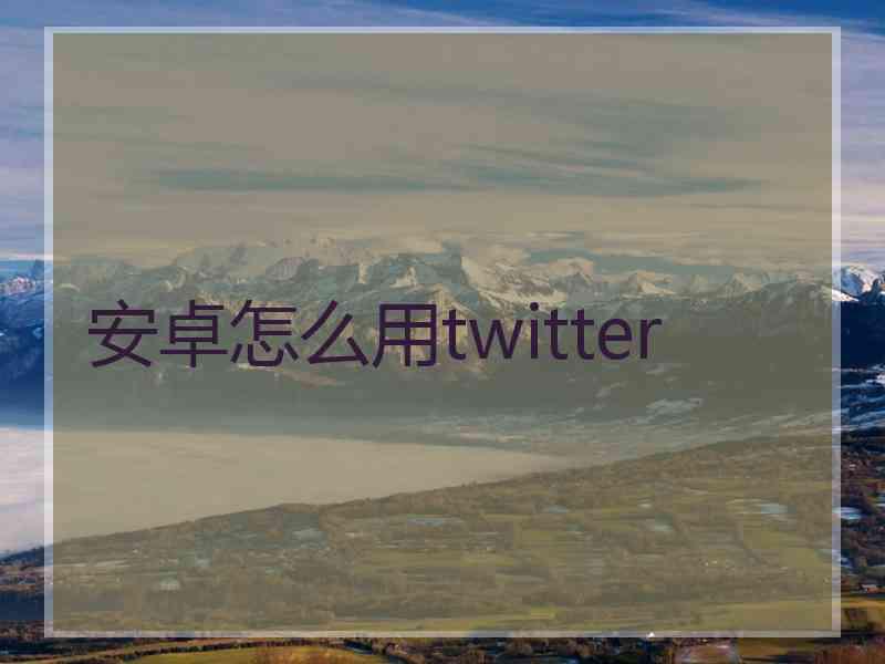 安卓怎么用twitter