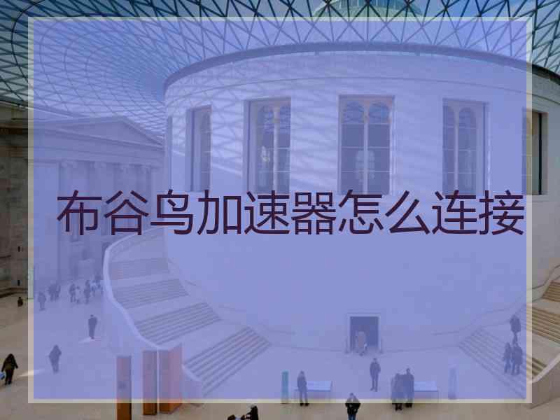 布谷鸟加速器怎么连接