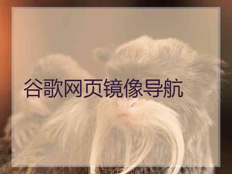 谷歌网页镜像导航