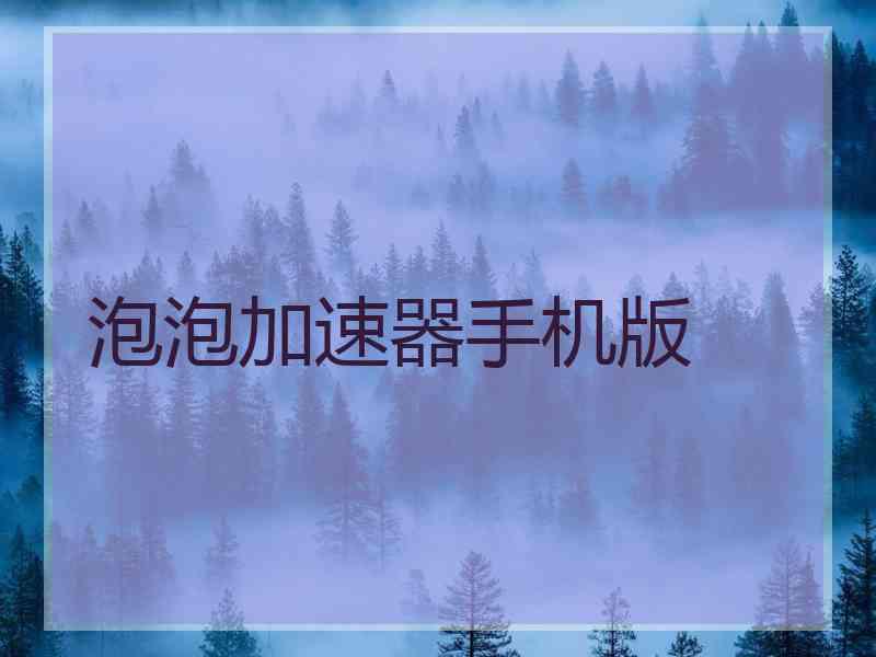泡泡加速器手机版