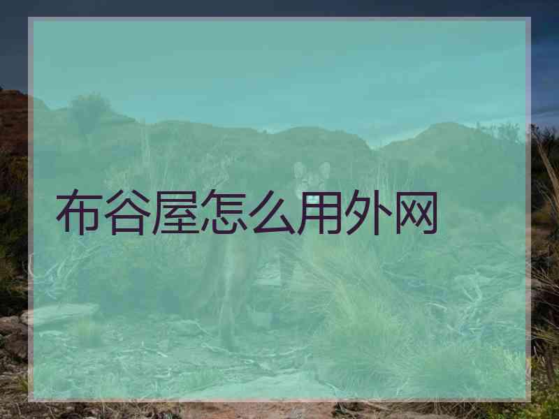 布谷屋怎么用外网