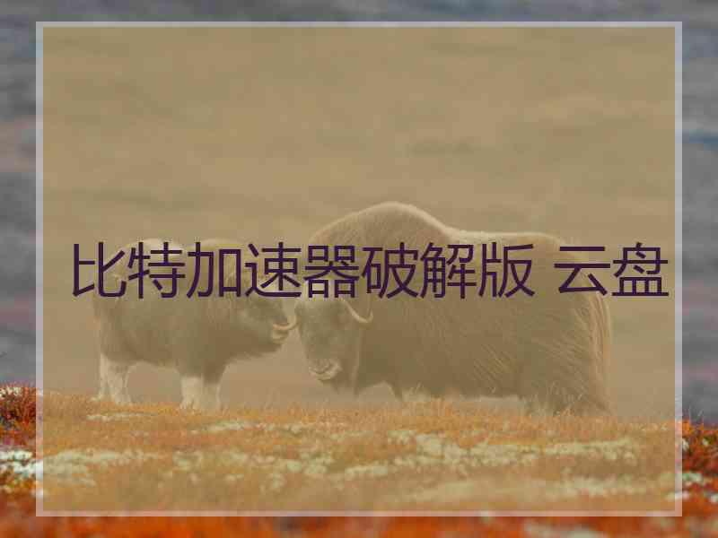 比特加速器破解版 云盘