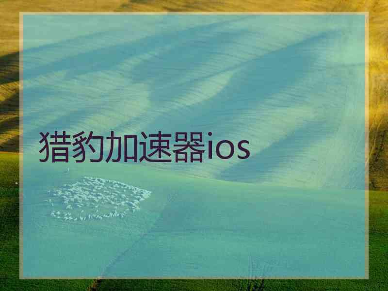 猎豹加速器ios