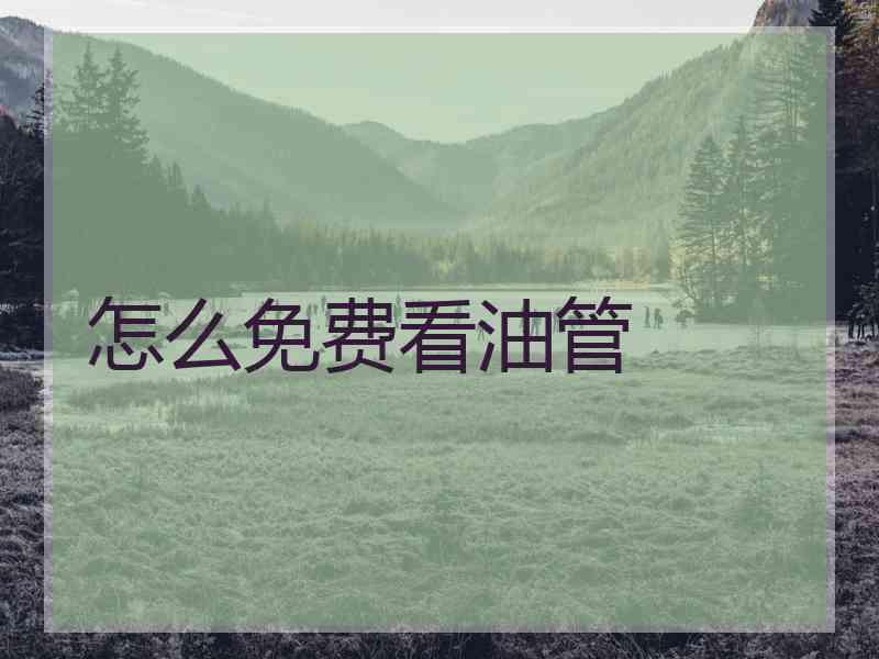 怎么免费看油管