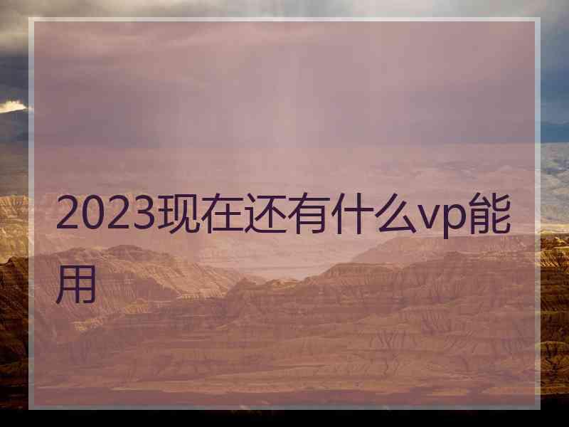 2023现在还有什么vp能用