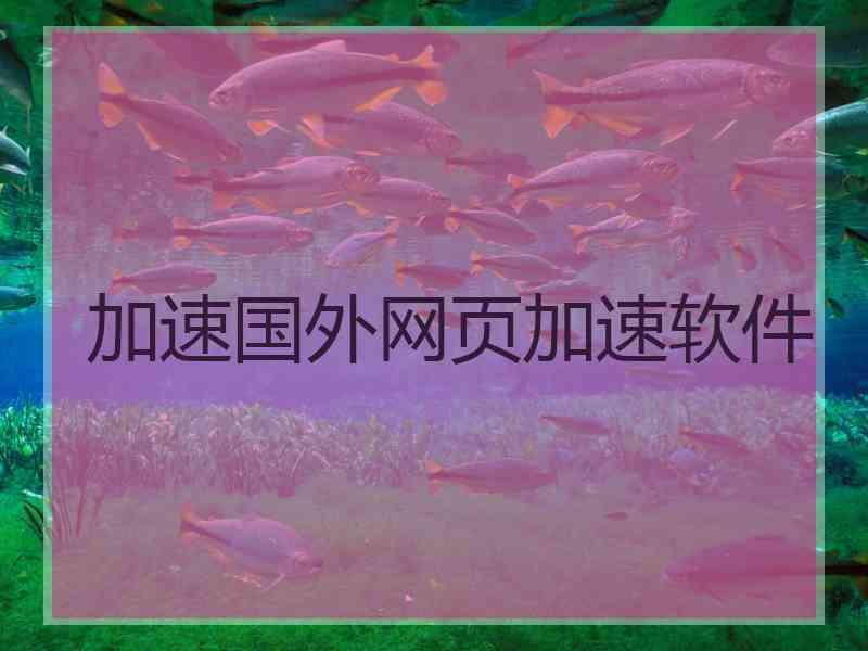 加速国外网页加速软件