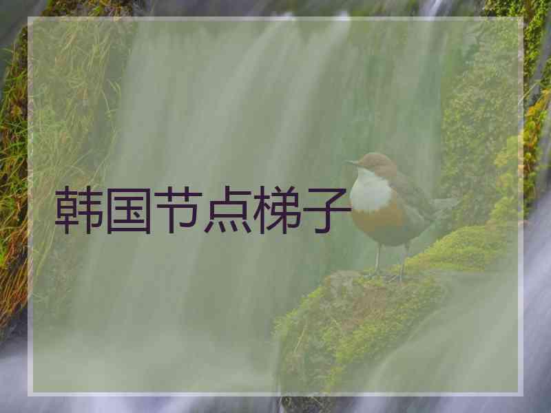 韩国节点梯子
