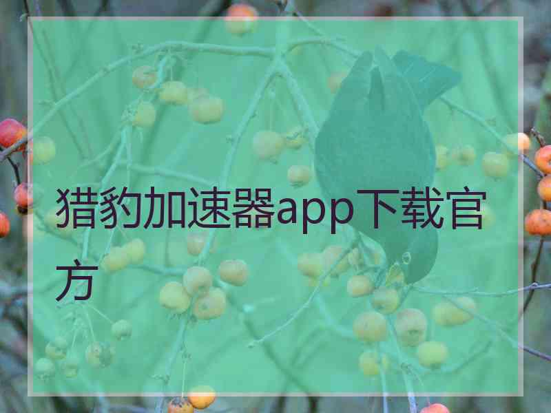 猎豹加速器app下载官方