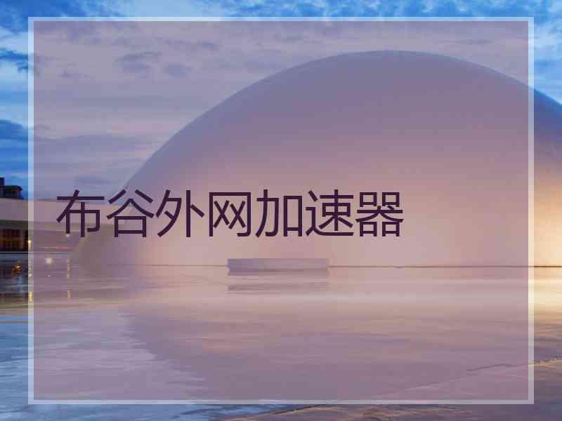 布谷外网加速器