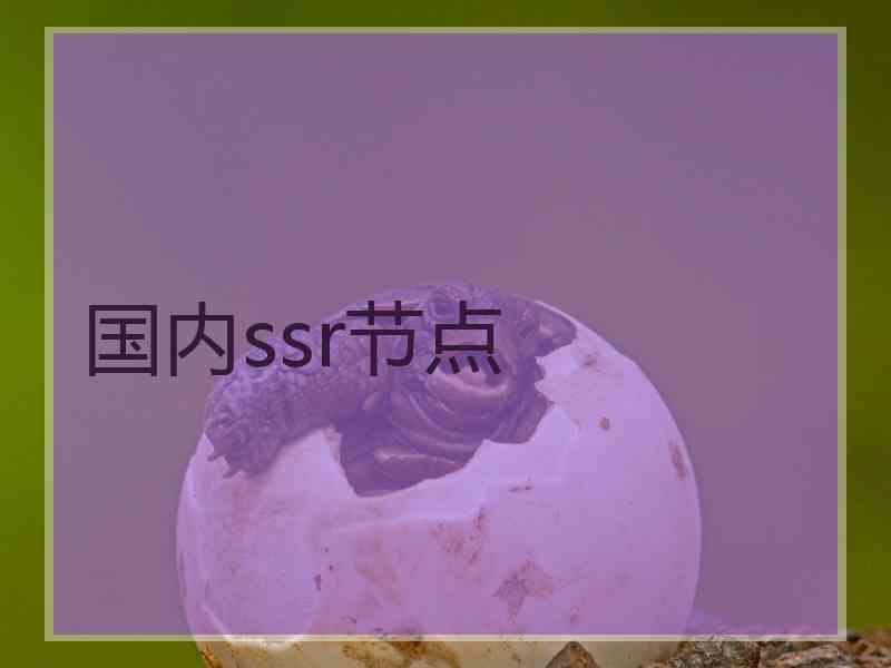 国内ssr节点