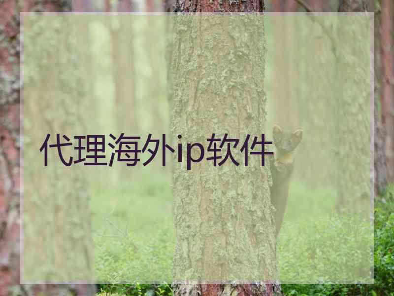 代理海外ip软件