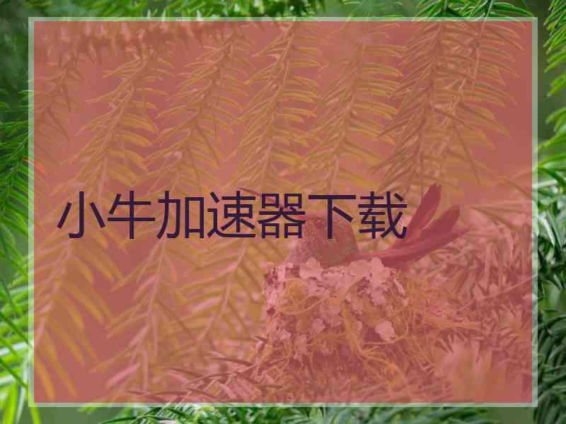 小牛加速器下载