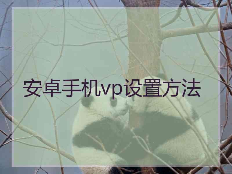 安卓手机vp设置方法