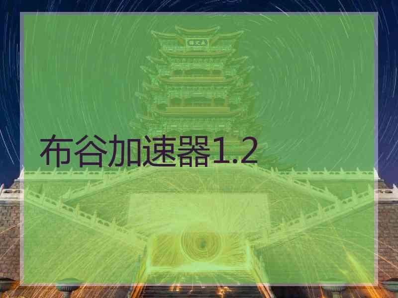 布谷加速器1.2