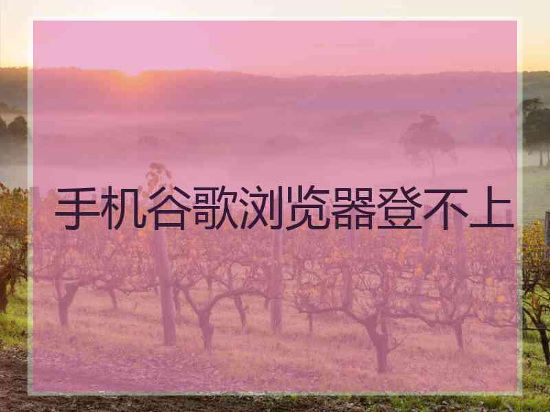 手机谷歌浏览器登不上