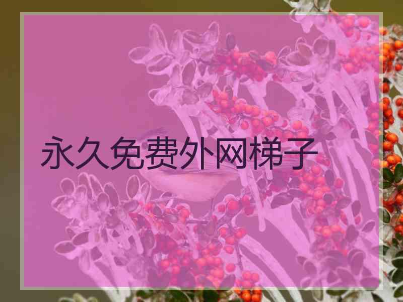 永久免费外网梯子