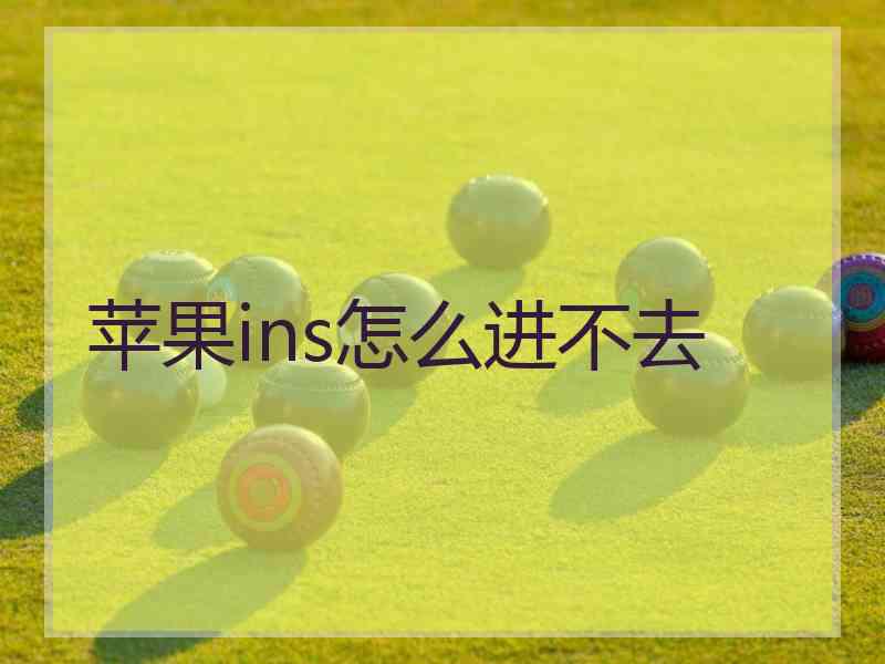 苹果ins怎么进不去